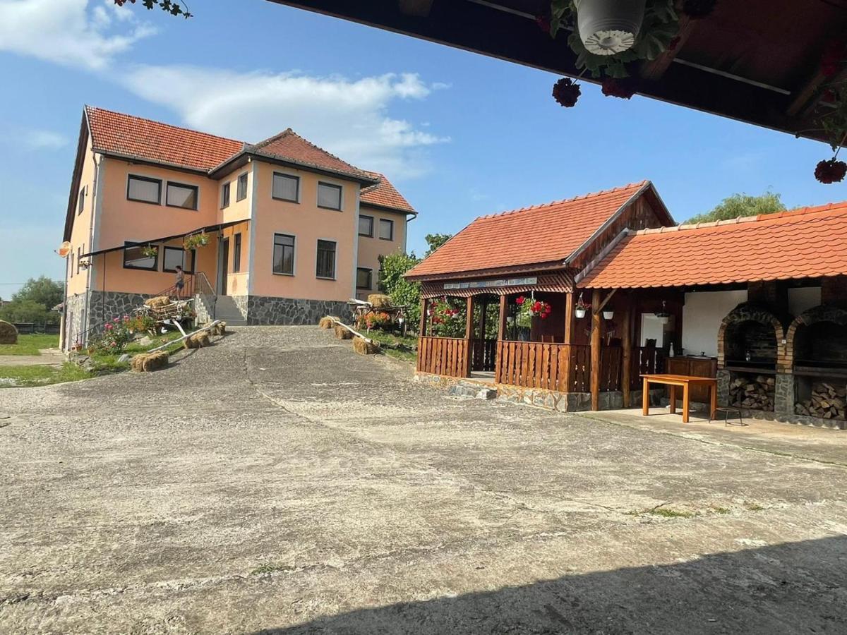 Pensiunea Ducu Scoreiu Exterior foto